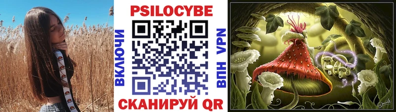 Псилоцибиновые грибы Cubensis наркотики MEGA онион Саянск